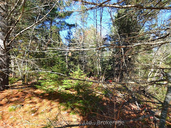 5th image of 2 Parker Bay Rd