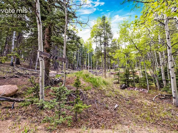 714 Will Stutley Dr, Divide, CO 80814
