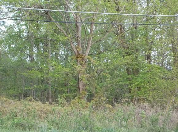 2nd image of 3050 S State Highway 87