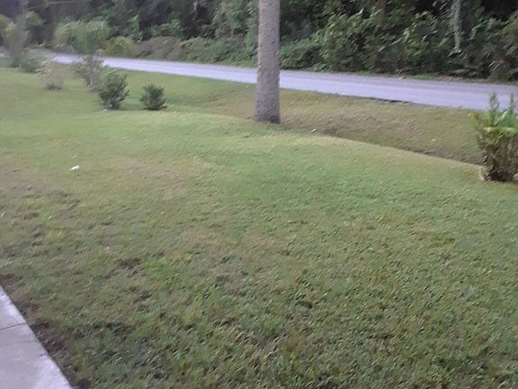 Front Yard