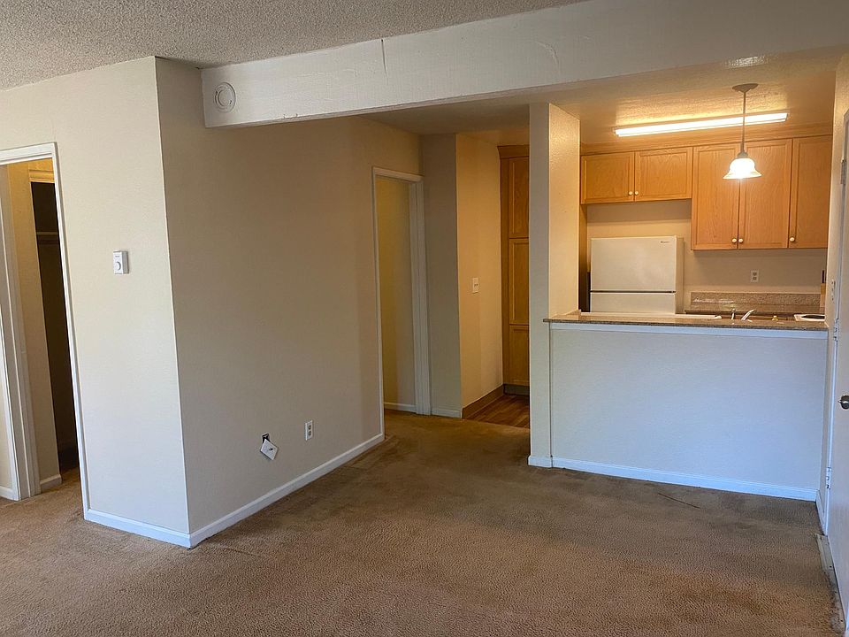 Spacious Remodeled Studio.