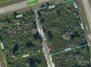 6803 Scodello St, Sebring, FL 33872