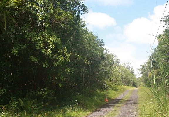 3rd image of Napua St Lot 7