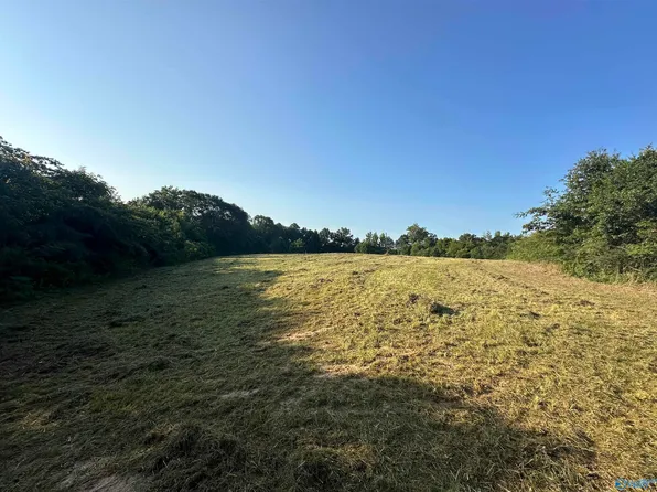 Pleasant Hill Rd, Albertville, AL 35950