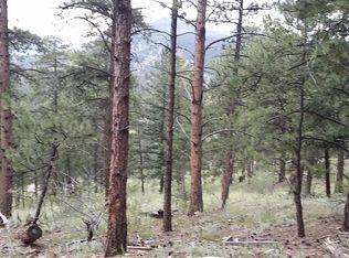 134 Linda Trl, Bailey, CO 80421