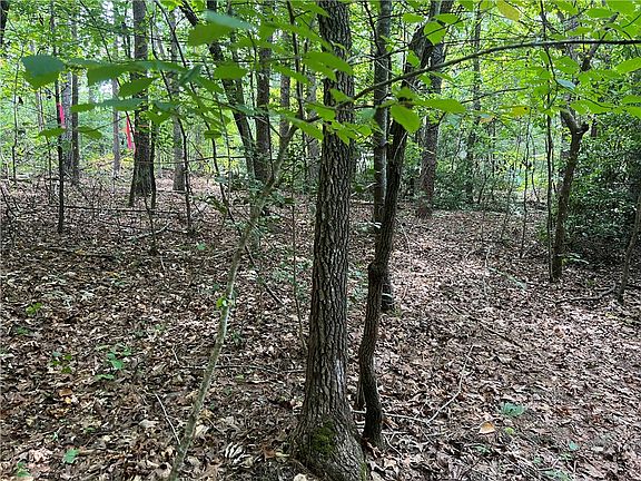 2nd image of LOT 30 Sourwood Bench Ct