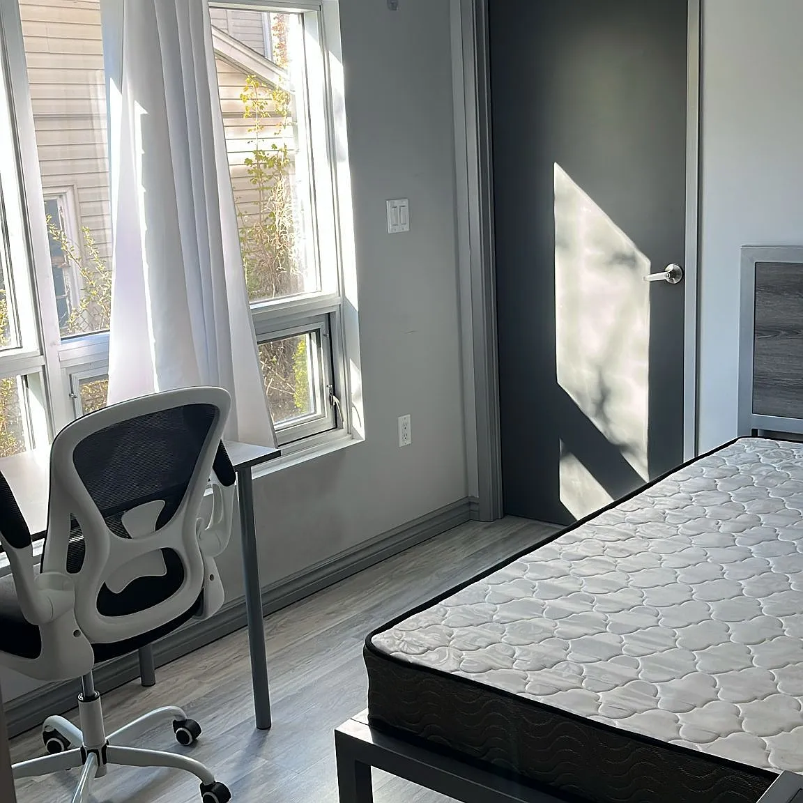 1 bed, $1,200 — Photo 3
