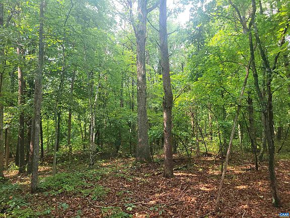 5th image of 1 Piney Mountain Ln