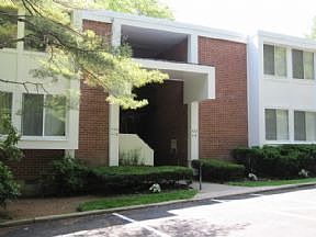 1st image of 413 Tallwood Dr