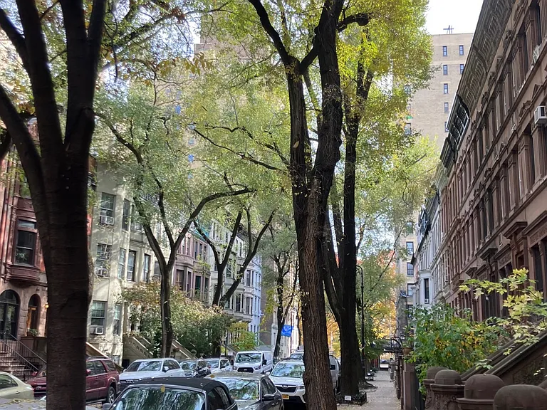 20 W 95th St #7/8 — Photo 19