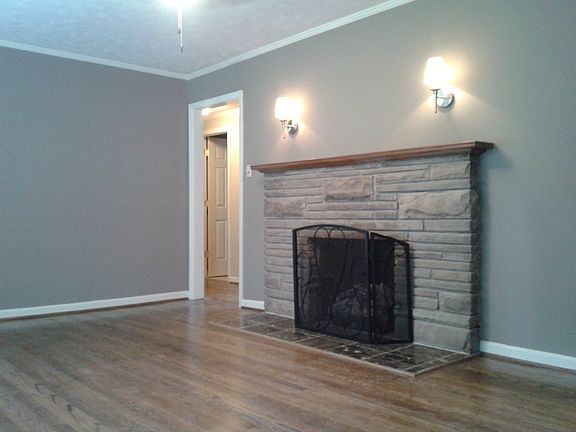 Main level family rm with vent free gas logs