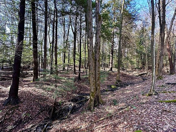 3rd image of Route 6n Rte Lot D
