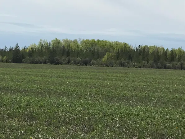 E 23 Mile Rd, Pickford, MI 49774
