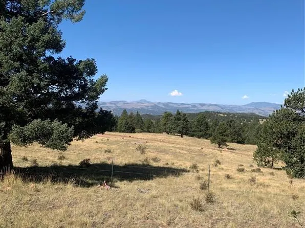 832 County Road 89, Cripple Creek, CO 80813
