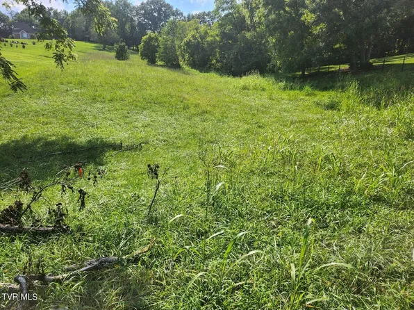 35 Fox Trot Pl, Unicoi, TN 37692