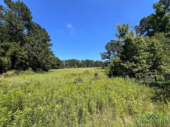 887 County Road 1265, Center, TX 75935