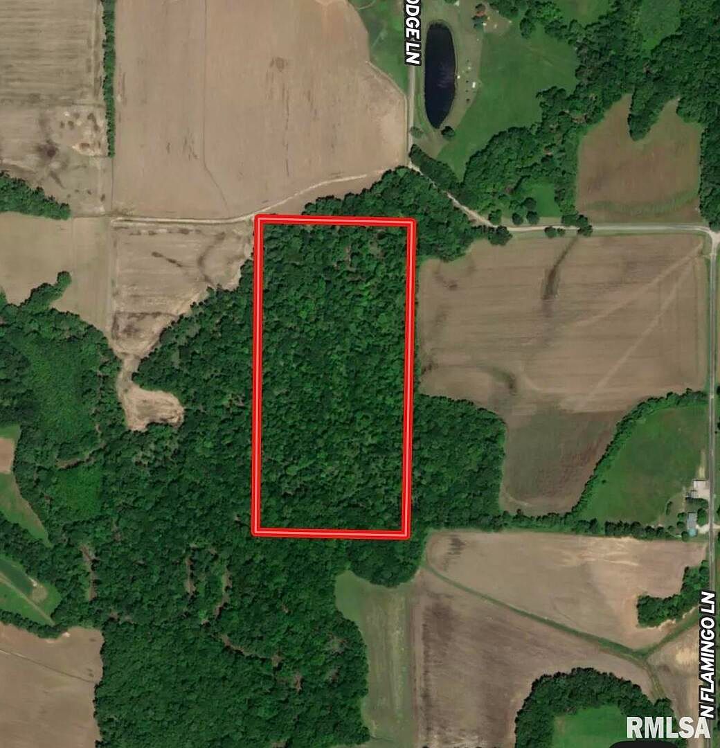0 E Flagg Rd, Scheller, IL 62883 | Zillow