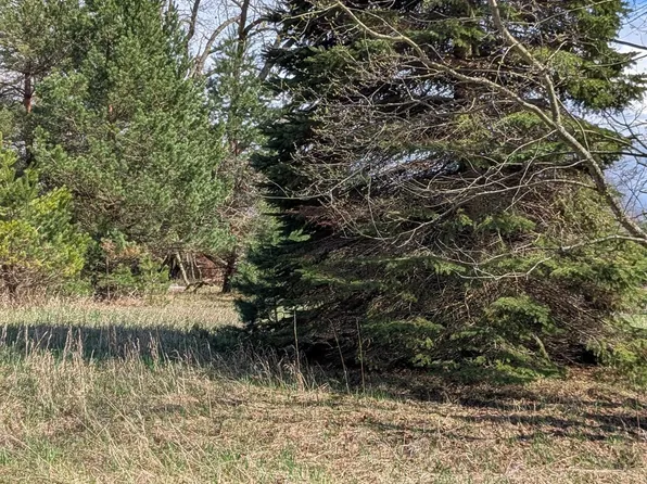 1007 Kent St, Lake Isabella, MI 48893