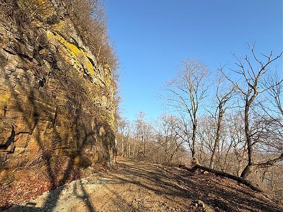 14th image of this home