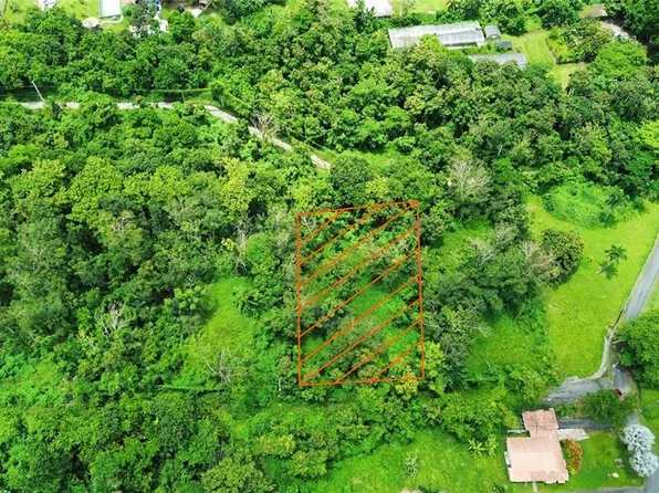 Calle Balbino Rosa Solar #D, Luquillo, PR 00773