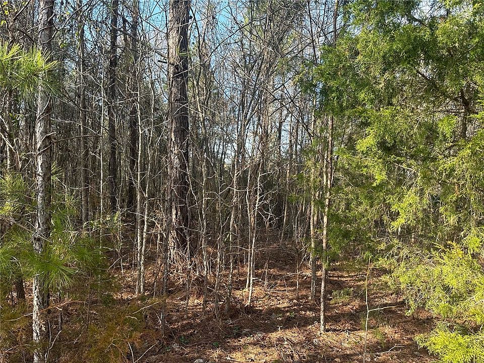2nd image of 0 Lee Road 240