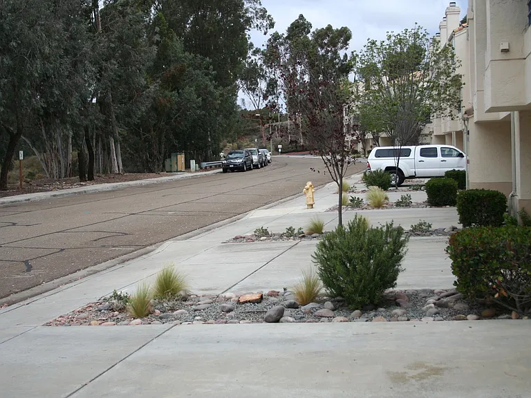 Driveway