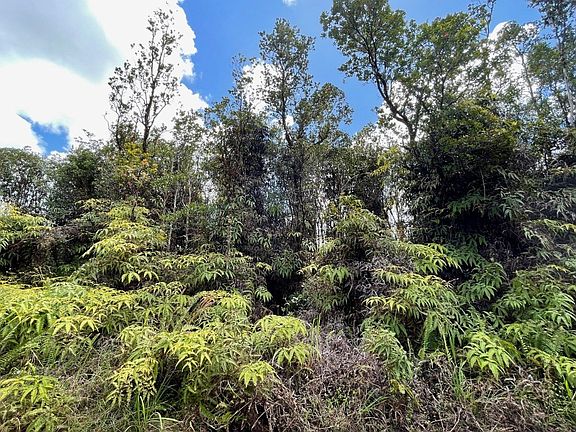 2nd image of Maleikai St Lot 33