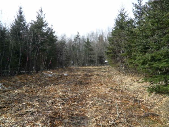 1V Highway 224, Elmsvale, NS B0N 1X0