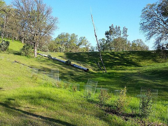 Pond reservoir with overflow