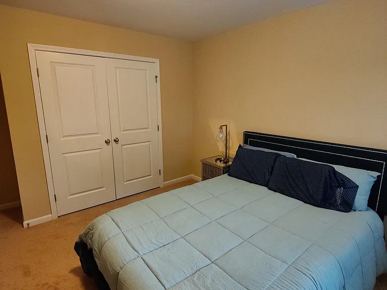 6 White Spruce Ct — Photo 7