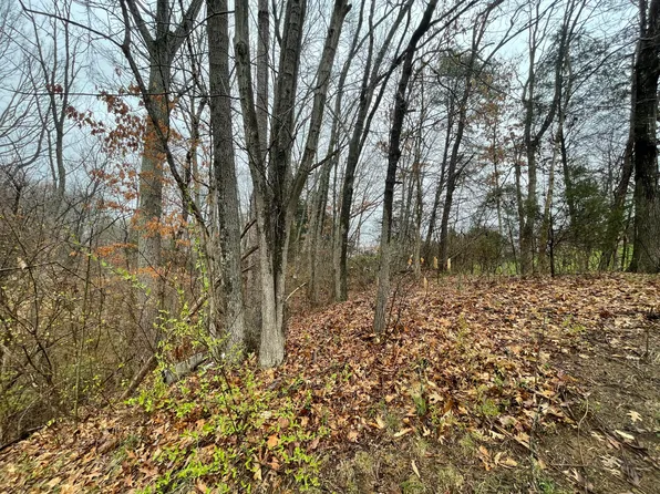 Bethel Ln, Kingsport, TN 37660