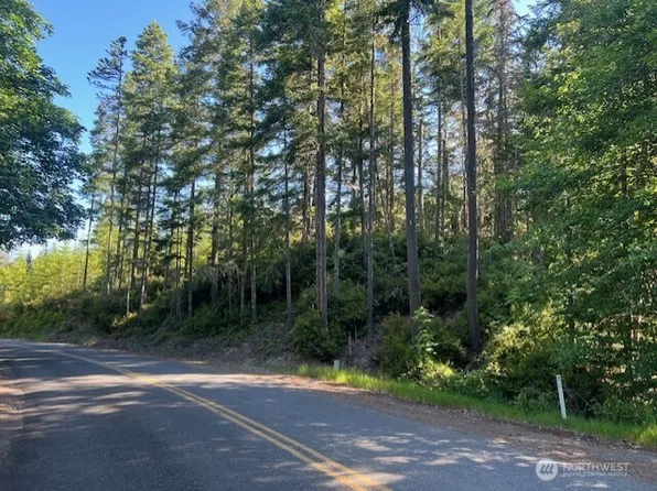 0 NE Tahuya Blacksmith Road, Belfair, WA 98528