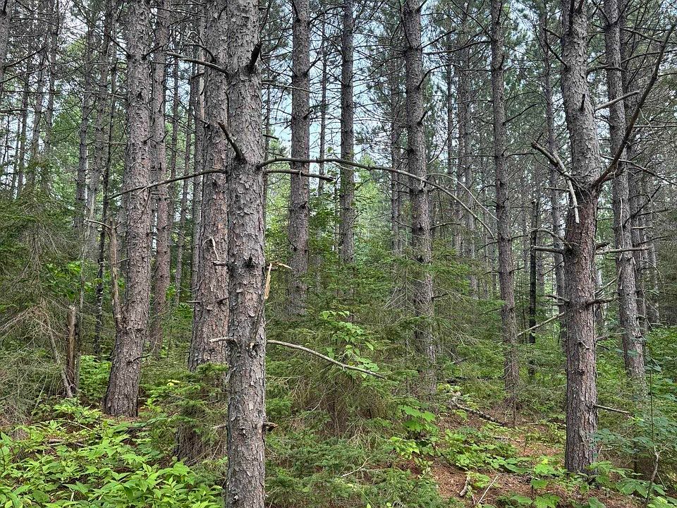 1st image of Xx High Ridge Dr