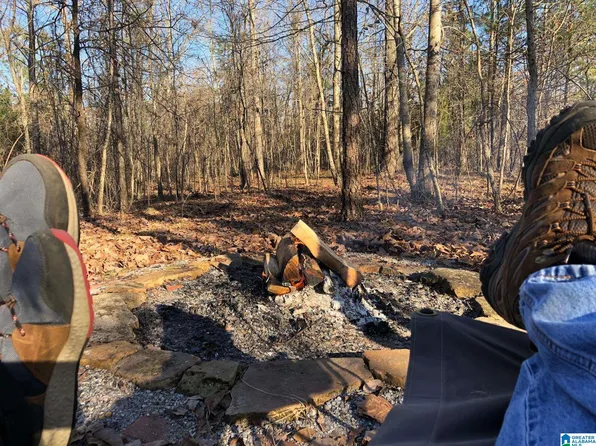 0 Us Highway 231 #1, Ragland, AL 35131