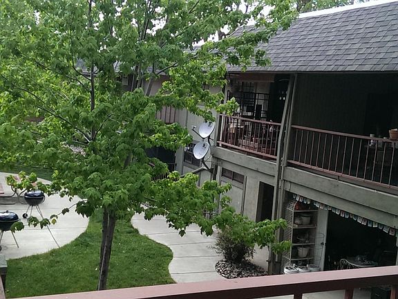 Peaceful view from the deck