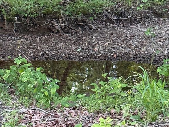 3rd image of 0 Robinson Rd