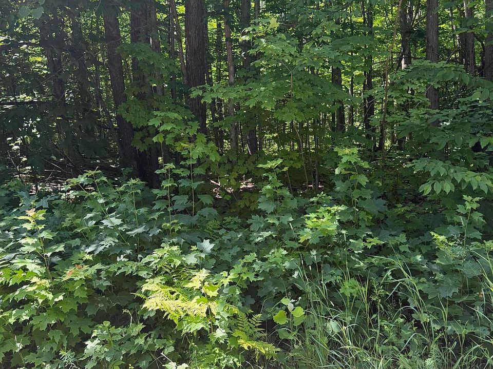 1st image of 185 Forest Dr NE