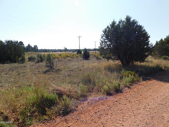 2nd image of 2769 Sunflower Dr Lot 203