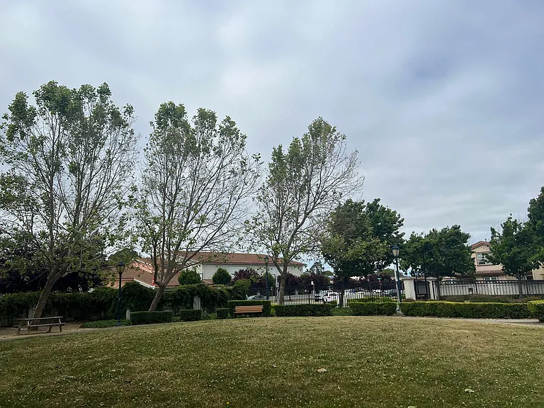San Fernando St — Photo 3