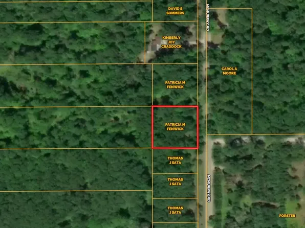 LOT 9 McMurphy Rd, Atlanta, MI 49709