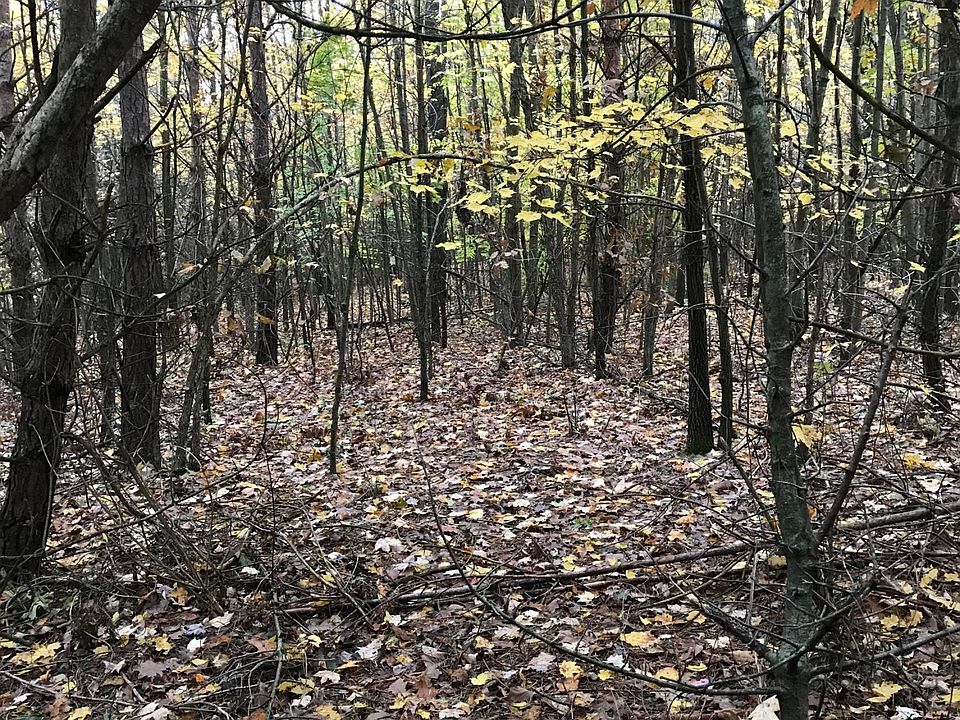 2nd image of W Tamarack Road