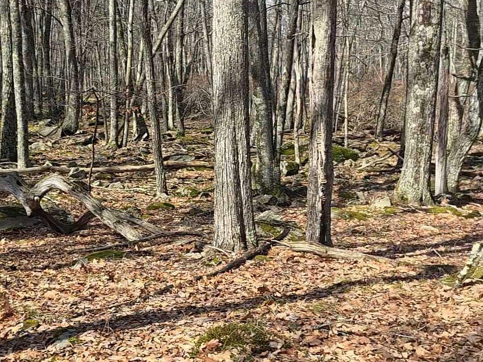 1st image of Whitetail Rdg