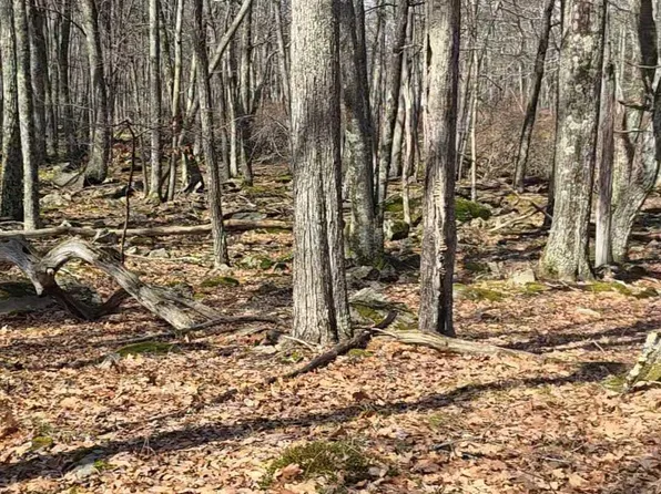 Whitetail Rdg, Beach Lake, PA 18405