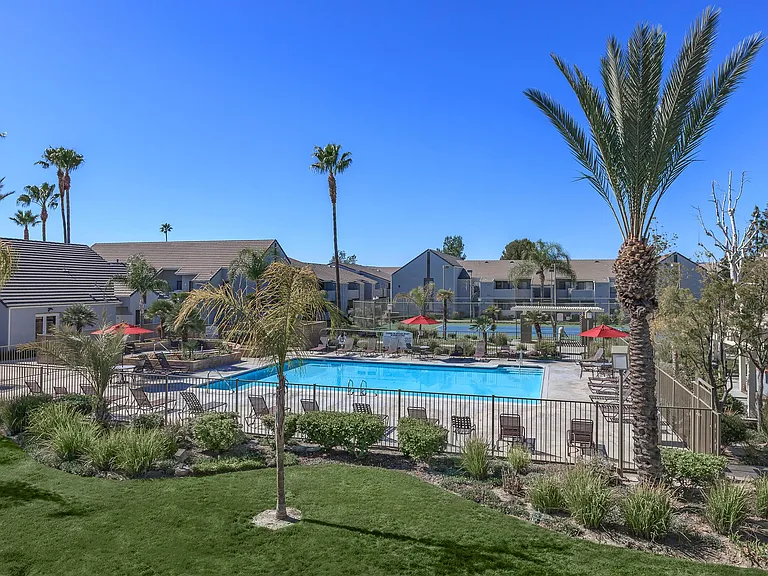 Palm Court Apartment Homes — Photo 12