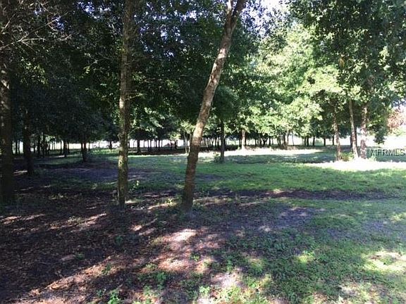 4th image of 13322 Balm Gardens Ln