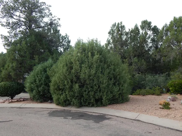 510 E Saguaro Cir, Payson, AZ 85541