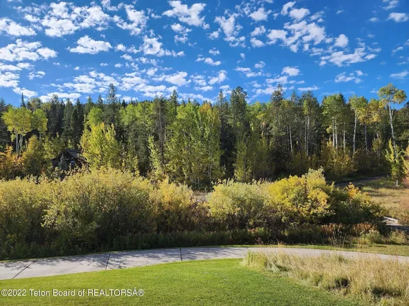 23 Blackfoot Trl, Victor, ID 83455