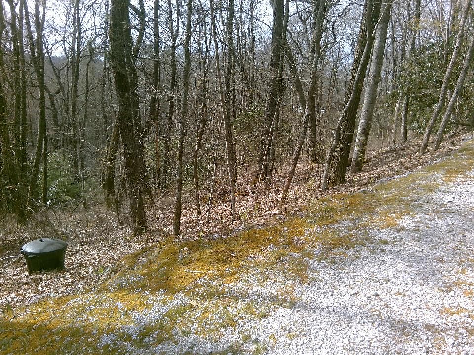 2nd image of 0 Cowee Mount