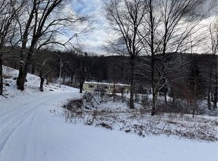 844 Horton Brook Rd, Roscoe, NY 12776