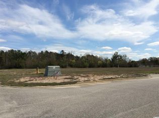 9.8 Acs Carsens Ferry Drive Off Hwy #501, Conway, SC 29526